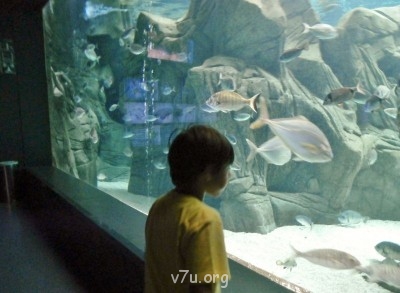 Кузнечик счастья. Очень мужская история - P8270237.JPG