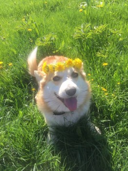 Расстройство пищевого поведения и наши детки - IMG_8367.JPG