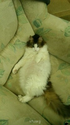 Усыновление двоих детей сразу - IMG-20130906-WA0000784776050.jpg