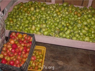 Пипетка, гламурная Катя и другие - 121f63b2b97a.jpg