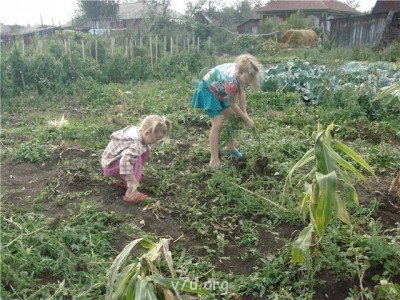 Пипетка, гламурная Катя и другие - ff09d25a07c8.jpg