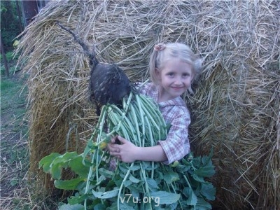 Пипетка, гламурная Катя и другие - d0fc5366ed34.jpg