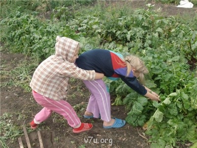 Пипетка, гламурная Катя и другие - 95f64f30993d.jpg