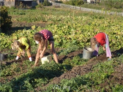 Пипетка, гламурная Катя и другие - 4b5acb1fafba.jpg