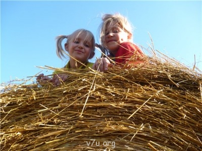 Пипетка, гламурная Катя и другие - 9e8236496a40.jpg