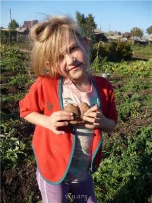 Пипетка, гламурная Катя и другие - 34cd853233bb.jpg