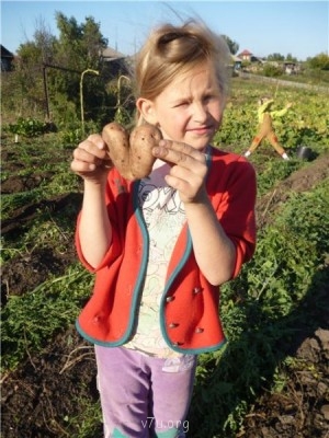 Пипетка, гламурная Катя и другие - 59363d46e310.jpg