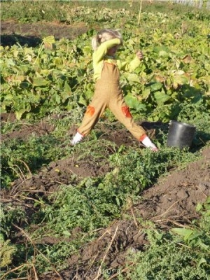 Пипетка, гламурная Катя и другие - ba3b30ad7cb7.jpg