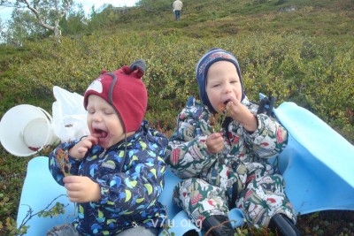 А это мы у нас в северном лесочке ягодку прямо с кустиков кушаем. Дети в восторге!