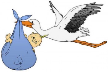 Одинокая мама о своем опыте - 1405060427_leleka-600x400.jpg