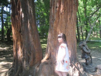 Солнечного настроения тем, кто ищет своих детей  - море1.jpg