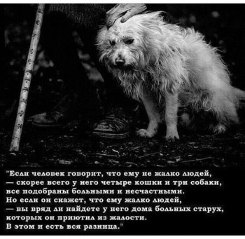 Я бесплодна и мы решились. Как подготовиться? Помогите  - IMG_4811.JPG