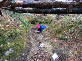 И много трудностей на пути к поиску заветного Слова...