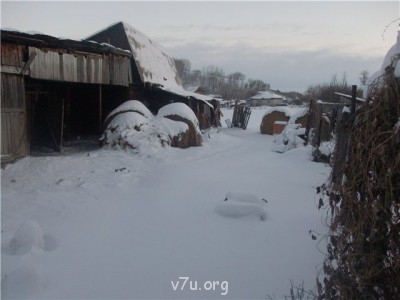 Пипетка, гламурная Катя и другие - a79d0a112e33.jpg