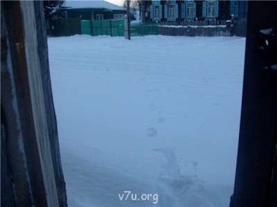 Пипетка, гламурная Катя и другие - 6760b95a5507.jpg