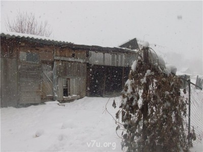 Пипетка, гламурная Катя и другие - c7e86b1605fb.jpg