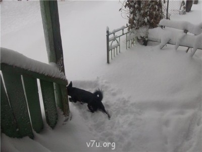 Пипетка, гламурная Катя и другие - c2d1416fb9c4.jpg