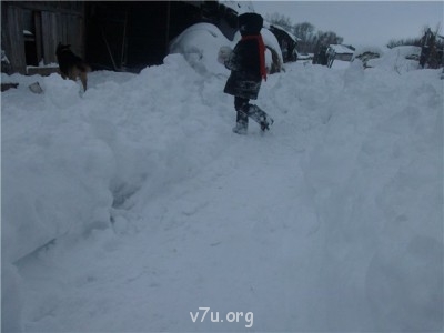 Пипетка, гламурная Катя и другие - 3bede4952848.jpg