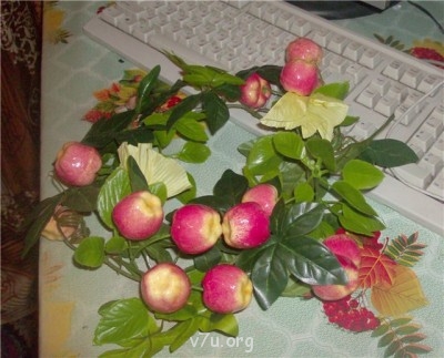 Пипетка, гламурная Катя и другие - d2bec05d833c.jpg