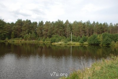 Летний отдых - DSC_0181.JPG