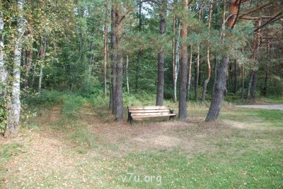 Летний отдых - DSC_0188.JPG