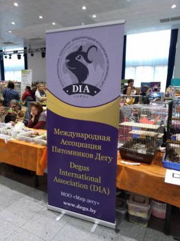 Встречи в Москве - 15388166536224742662978835509923.jpg