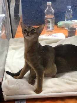 Встречи в Москве - A2E0072A-01CA-4E1B-81FF-7C49F0B88B3D.jpeg