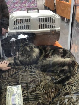 Встречи в Москве - 0744992F-FB31-4F9C-A284-B7751A965020.jpeg