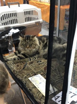 Встречи в Москве - E9FACBDD-2023-43ED-AC24-9C853E86EB7B.jpeg