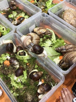 Встречи в Москве - FEAA2204-C955-4819-AE56-0C24FF523B61.jpeg