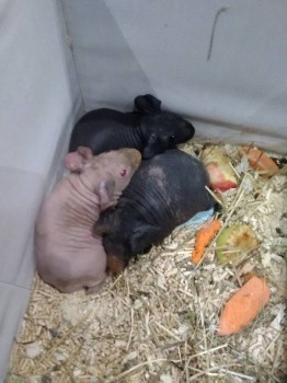 Встречи в Москве - IMG_20181006_153837.jpg