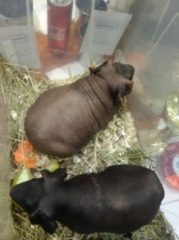 Встречи в Москве - IMG_20181006_154009.jpg