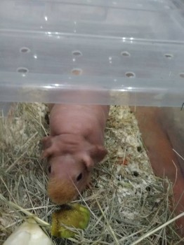 Встречи в Москве - IMG_20181006_154001.jpg