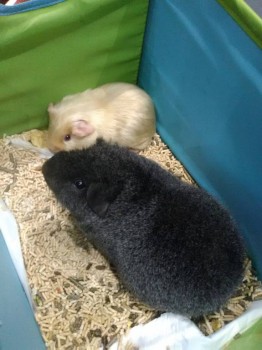 Встречи в Москве - IMG_20181006_153842.jpg