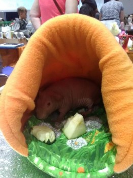 Встречи в Москве - IMG_20181006_153927.jpg