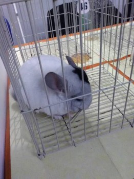 Встречи в Москве - IMG_20181006_154211.jpg