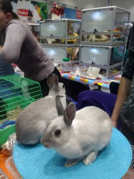 Встречи в Москве - IMG_20181006_161256.jpg