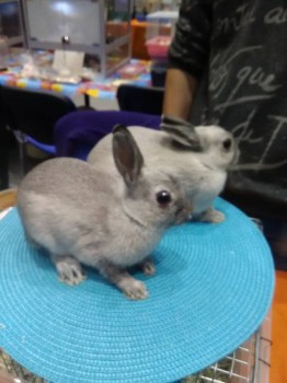 Встречи в Москве - IMG_20181006_161240.jpg