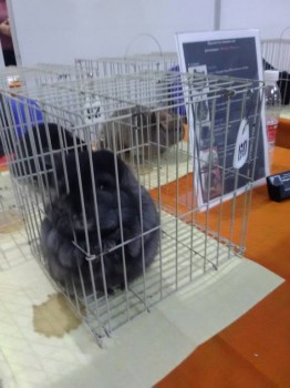 Встречи в Москве - IMG_20181006_154217.jpg