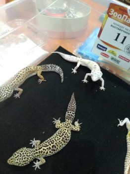 Встречи в Москве - IMG_20181006_155409.jpg