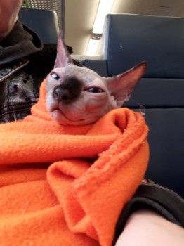 Встречи в Москве - IMG-20181007-WA0003.jpg