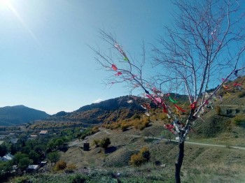 Приемная семья в Крыму - 1g.jpg