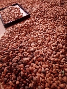 Приемная семья в Крыму - 5.jpg