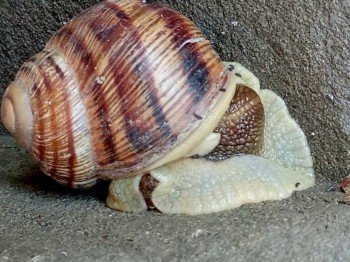 Приемная семья в Крыму - 8.jpg