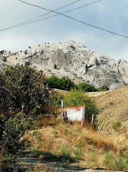 Приемная семья в Крыму - 10.jpg