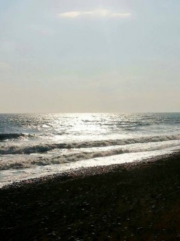 Приемная семья в Крыму - 13.jpg