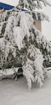 Соц.защита отняла статус и удостоверение многодетной семьи - 7F225302-D071-4EAE-9107-5C7E335389C2.jpeg