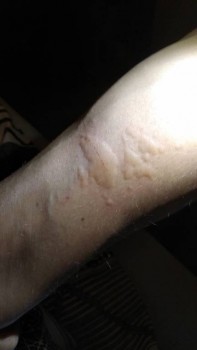 как жить с животными при аллергии - IMG_20181022_215722.jpg