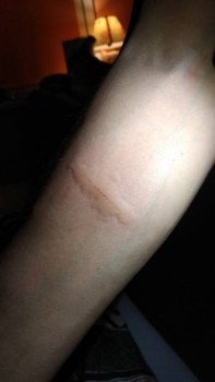 как жить с животными при аллергии - IMG_20181022_215710.jpg