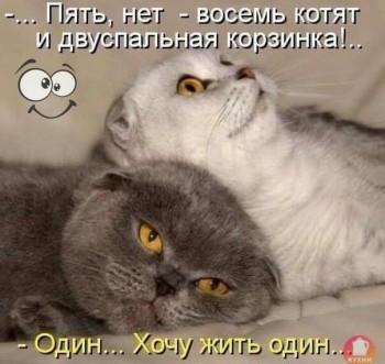 проблемы в отношениях с мужем - IMG_5924.JPG